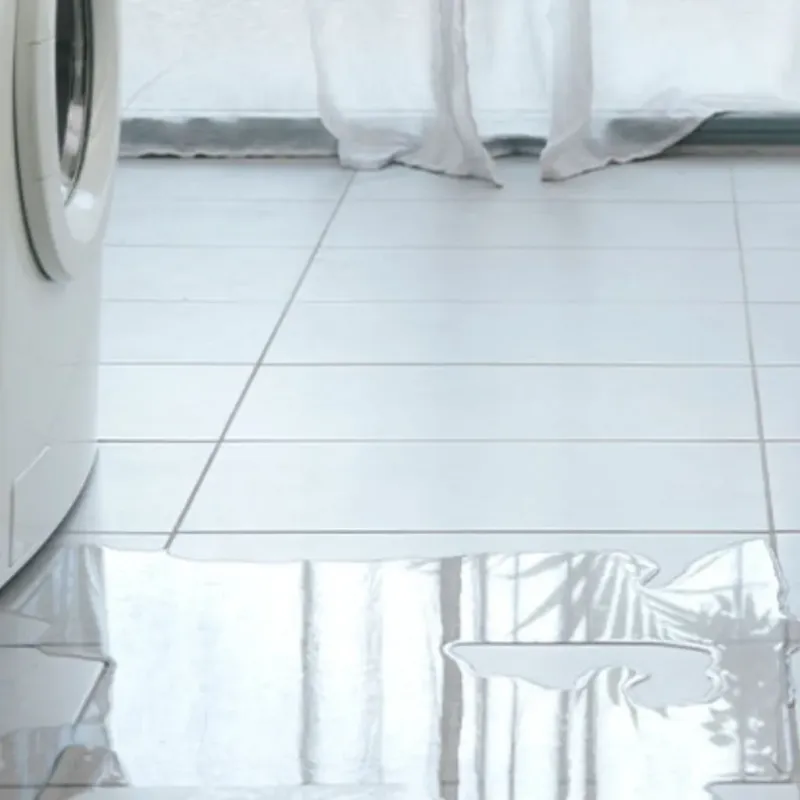 Appliance Leak Cleanup in Montgomery, GA