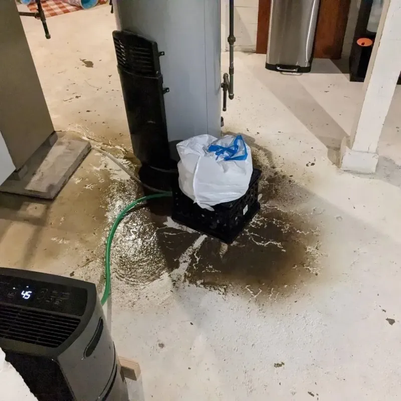 Sewage Backup Cleanup Service in Montgomery, GA